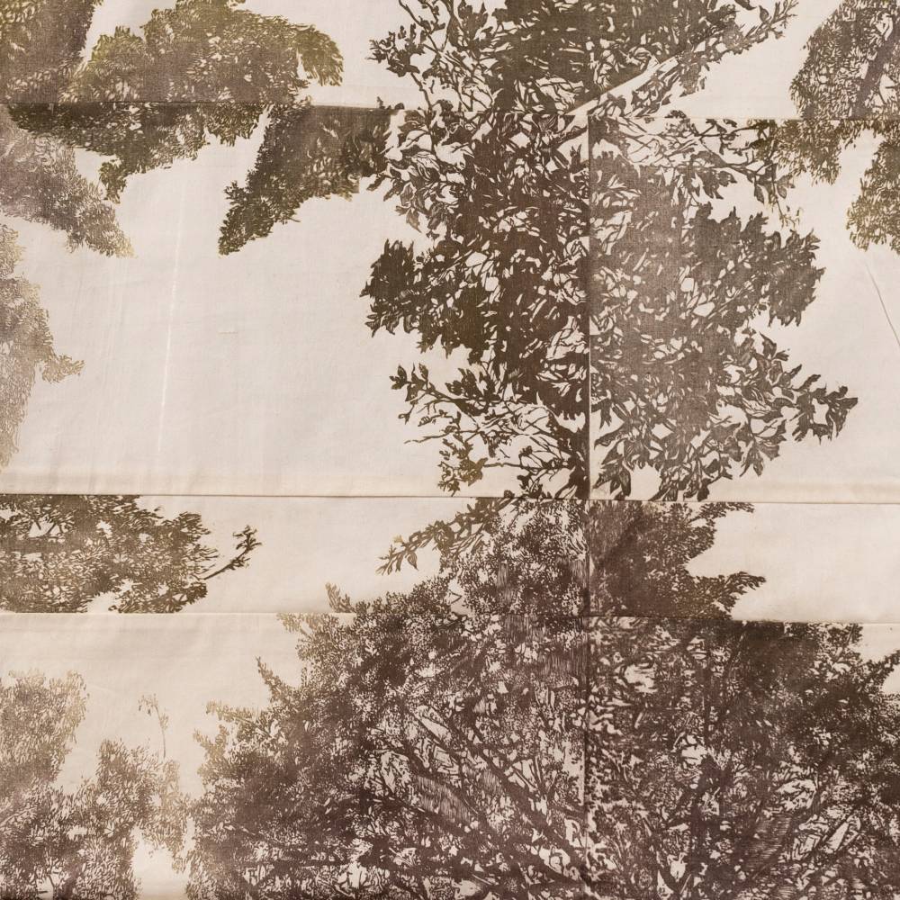 emerging-voices-surveying