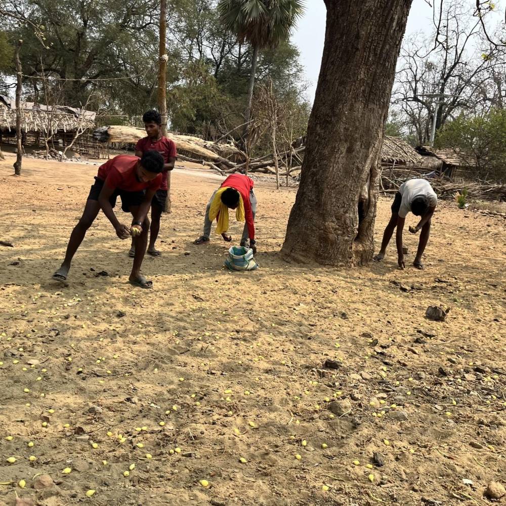 adivasi-resistance